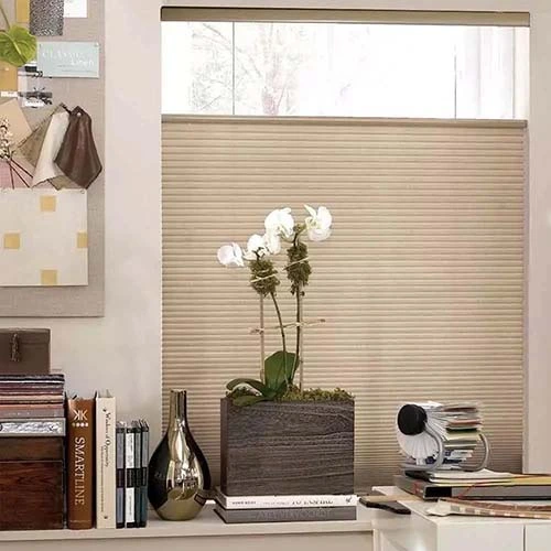 Top Down Bottom Up Cordless Cellular Shades Exquisite